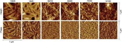 AFM images of height and phase of fluorinated polymer blend films at different terpolymer/copolymer ratios (100/0, 95/5, 90/10, 80/20, 70/30, 0/100) (tapping mode, 1 µm × 1 µm scan area).