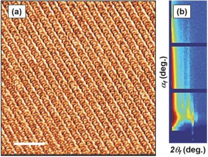 Templated Sub-100-nm-Thick Double-Gyroid Structure from Si-Containing Block Copolymer Thin Films