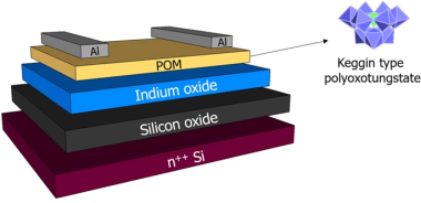 A Multifunctional Interlayer for Solution Processed High Performance Indium Oxide Transistors