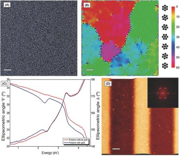 Metallic Nanodot Patterns with Unique Symmetries Templated from ABC Triblock Terpolymer Networks