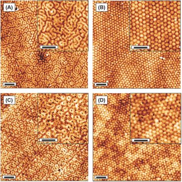 Core-Shell Double Gyroid Structure Formed by Linear ABC Terpolymer Thin Films